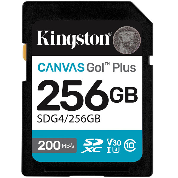 Фото - Уцінка - Карта пам'яті Kingston SDXC 256GB Canvas Go! Plus G4 Class 10 UHS-I U3 V30 (SDG4/256GB)