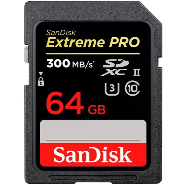 Фото - Карта пам'яті SanDisk SDXC 64GB UHS-II (SDSDXEP-064G-GN4IN)