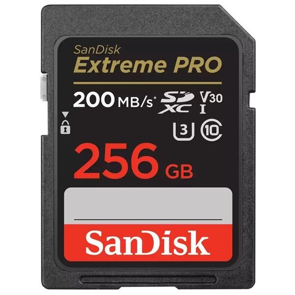 Фото - Карта пам'яті SanDisk SD 256GB C10 UHS-I U3 Extreme Pro V30 (SDSDXXD-256G-GN4IN)