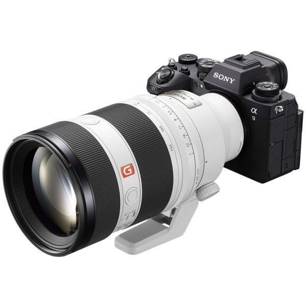 Фото - Об'єктив до фотокамери Sony 50-150mm f/2.0GM White для NEX FF (SEL50150GMW.SYX)