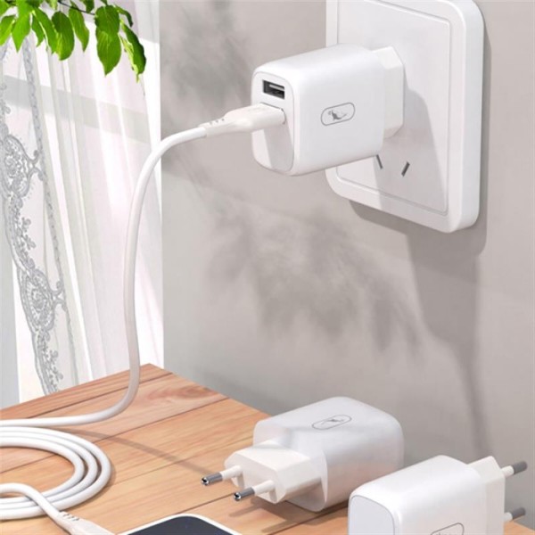 Фото - Сетевое зарядное устройство SkyDolphin SC22EBL (2USB, 2.1A) White + кабель Lightning (MZP-000162)