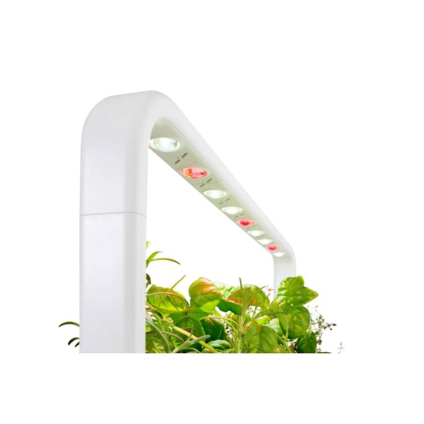 Фото - Розумний квітковий горщик Click&Grow Стартовый набор Белый SG9