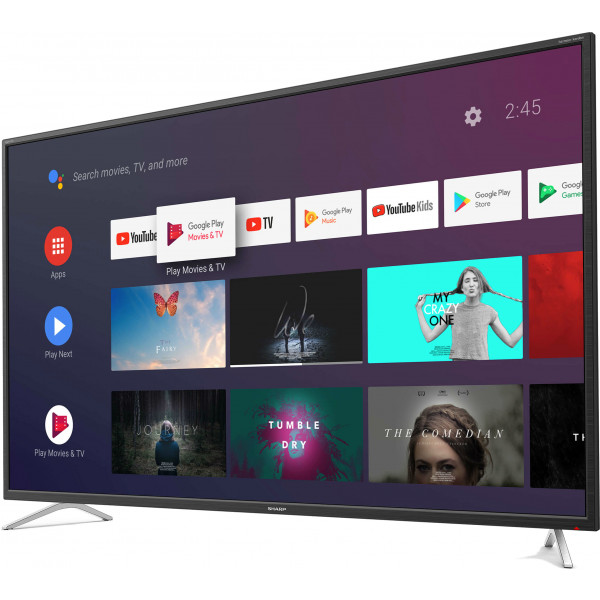 Фото - Телевизор Sharp 4T-C50BL2EF2AB