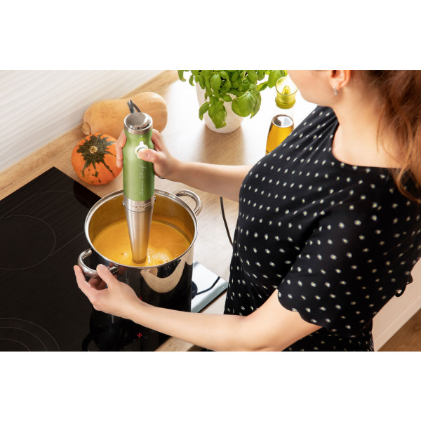 Фото - Блендер погружной Sencor SHB 5600GG-EUE3