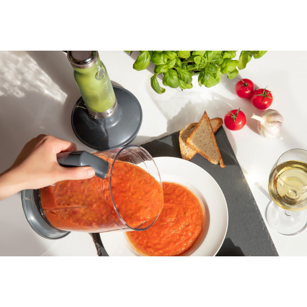 Фото - Блендер погружной Sencor SHB 5600GG-EUE3