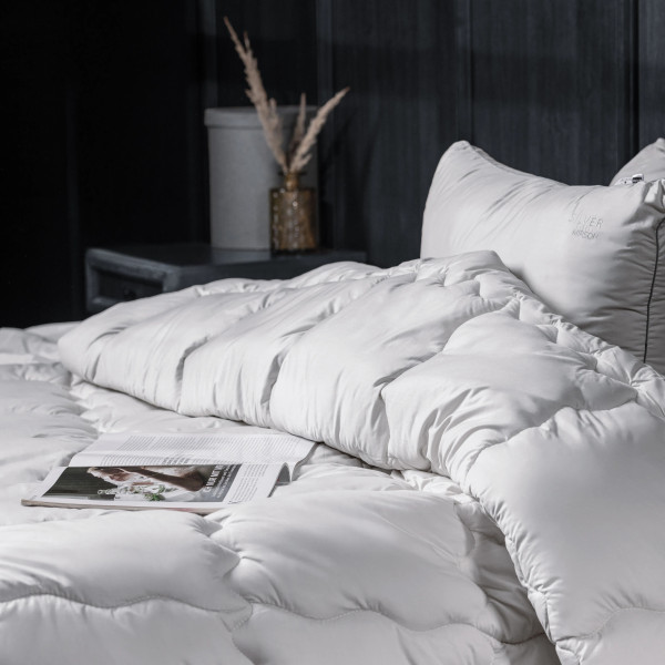 Фото - Одеяло демисезонное полуторное MirSon антиаллергенное №1002 "Silver Cloud" EcoSilk 140х205 (2200010352467)