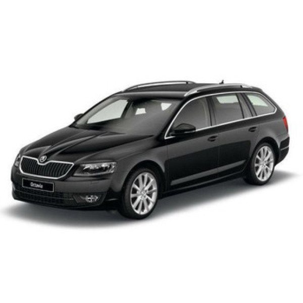 Фото - Коврики из экокожи в салон авто передние EVAtech для Octavia A7 AT Skoda 2013-2020 3 поколение Combi EU (SK3637AB2AV4BBB)
