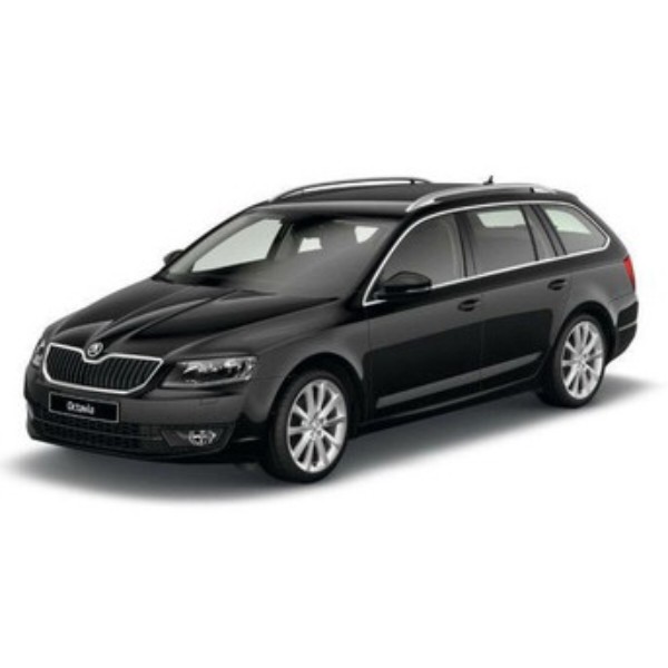Фото - Килимки з екошкіри в салон авто передні EVAtech для Octavia A7 MT Skoda 2013-2020 3 покоління Combi EU (SK3638AR2AV4BBB)