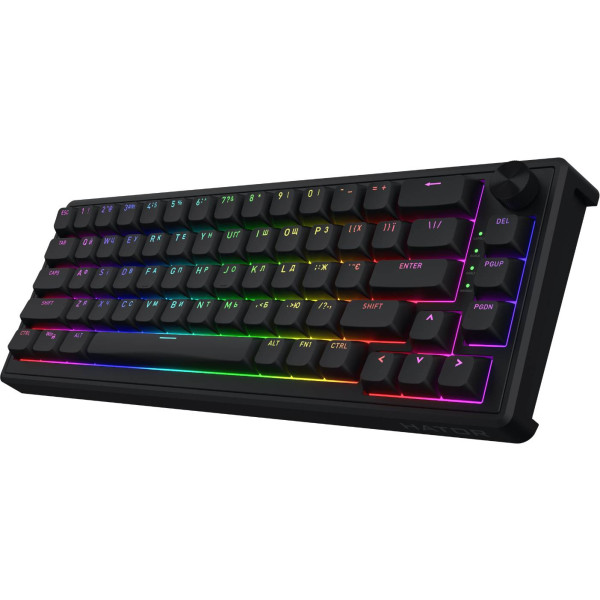 Фото - Клавиатура проводная игровая Hator Skyfall 65 Black (HTK1160UA)