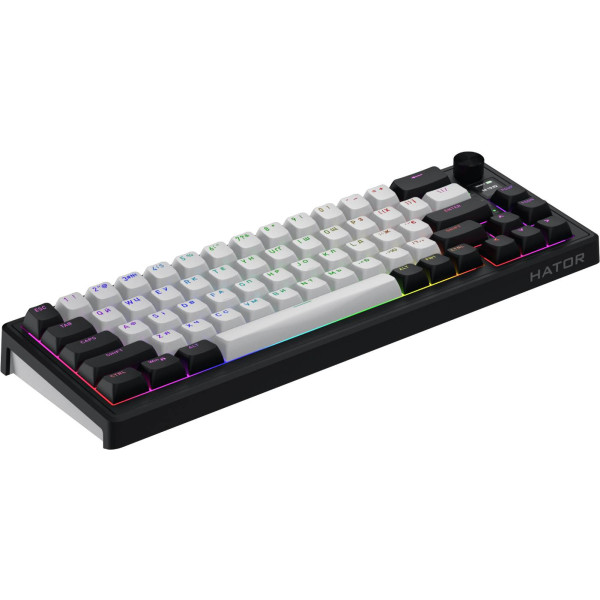 Фото - Клавиатура беспроводная игровая Hator Skyfall 65 MAG ULTIMA 8K wireless Black/White (HTK3860UA)