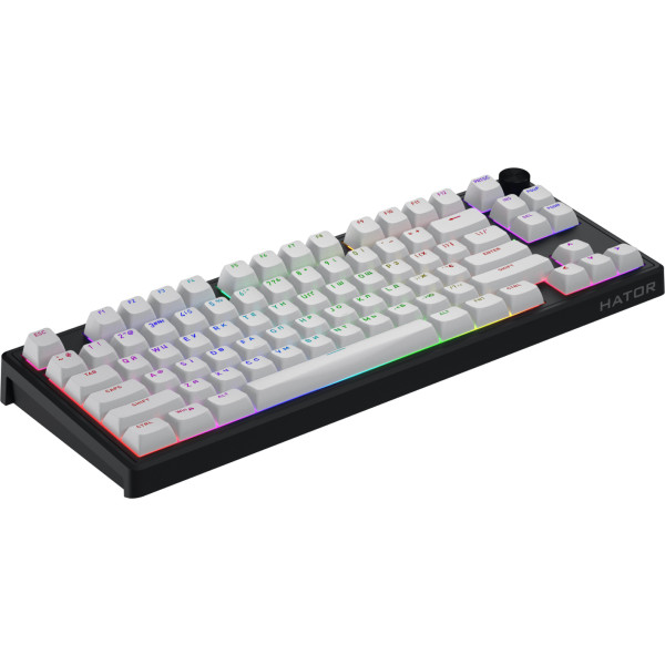 Фото - Клавіатура дротова ігрова Hator Skyfall 80 MAG ULTRA 8K (HTK1880UA) black-white