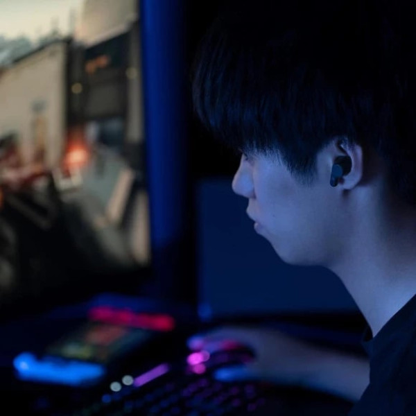 Фото - Навушники вкладиші бездротові TWS Final Audio VR3000 Wireless Black