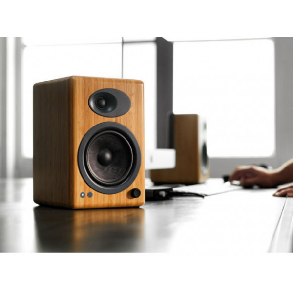 Фото - Комп'ютерна акустика компактна 2.0 Audioengine A5+ Bamboo