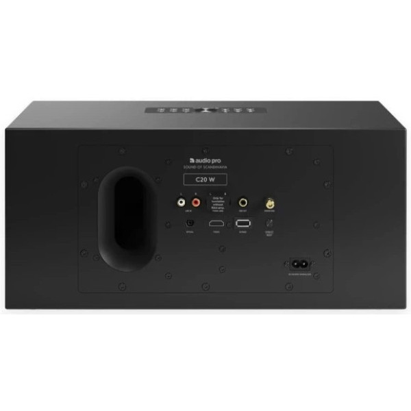 Фото - Портативная акустика Audio Pro C20 W Black