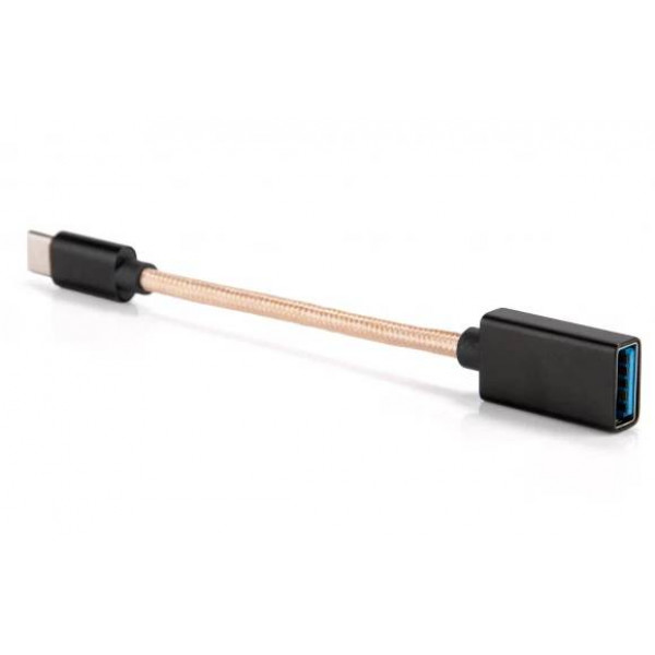 Фото - Перехідник iFi Type-C OTG (7036)