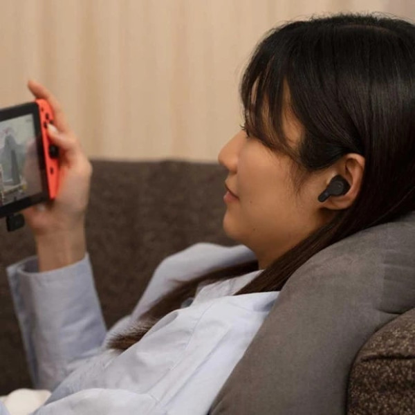 Фото - Навушники вкладиші бездротові TWS Final Audio VR3000 Wireless Black