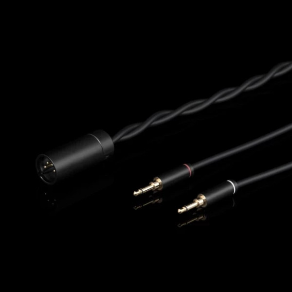 Фото - Навушники повнорозмірні дротові Final Audio DX6000 Silver