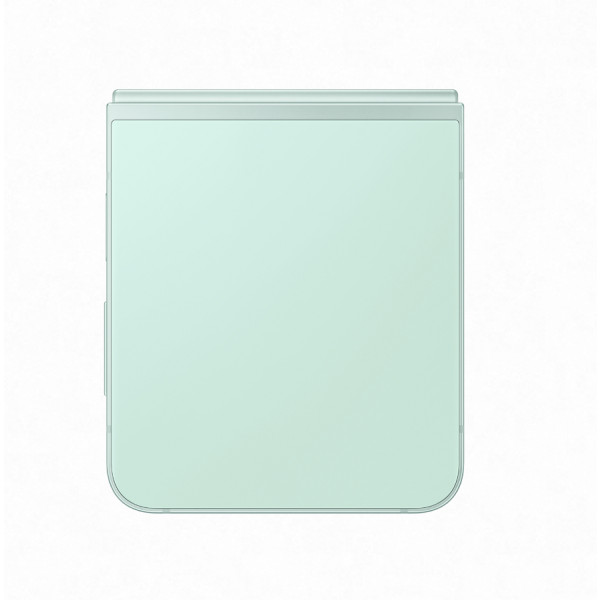 Фото - Смартфон Samsung Galaxy Flip6 12/256Gb Mint (SM-F741BLGGSEK)