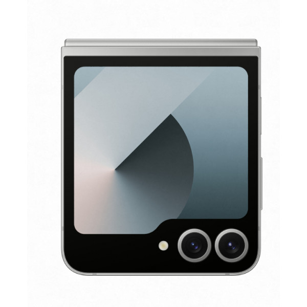 Фото - Смартфон Samsung Galaxy Flip6 12/256Gb Silver Shadow (SM-F741BZSGSEK)