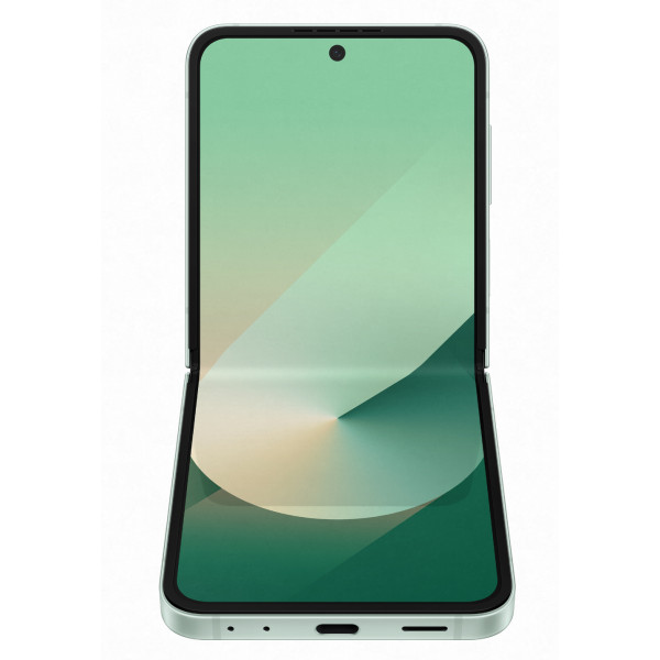 Фото - Смартфон Samsung Galaxy Flip6 12/256Gb Mint (SM-F741BLGGSEK)