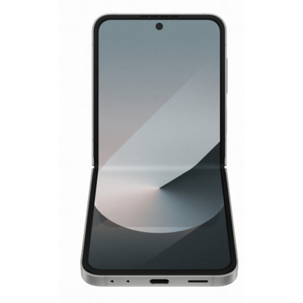 Фото - Смартфон Samsung Galaxy Flip6 12/256Gb Silver Shadow (SM-F741BZSGSEK)