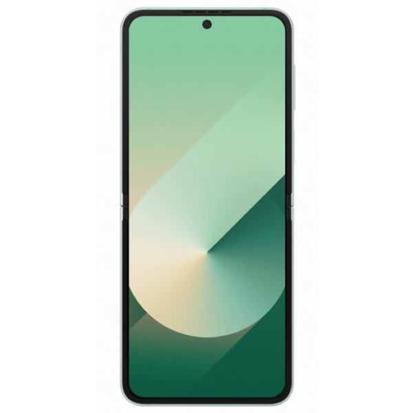 Фото - Смартфон Samsung Galaxy Flip6 12/256Gb Mint (SM-F741BLGGSEK)
