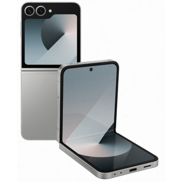 Фото - Смартфон Samsung Galaxy Flip6 12/256Gb Silver Shadow (SM-F741BZSGSEK)