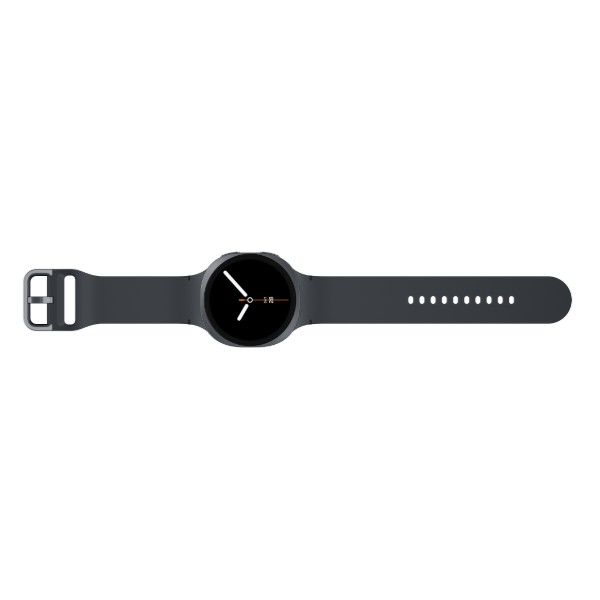 Фото - Смарт-годинник Samsung Galaxy Watch 8 40mm Gray (SM-L320NDAASEK)