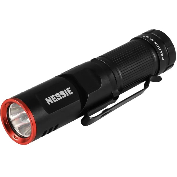 Фото - Фонарь Falcon Eye Nessie (500 Lm) Magnetic Rechargeable Type-C (FHH0140) Фото - Фонарь Falcon Eye Nessie (500 Lm) Magnetic Rechargeable Type-C (FHH0140)