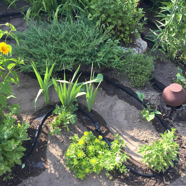 Фото - Шланг поливочний BRADAS Aqua-drop Flat 15 м (WAD1-2015)