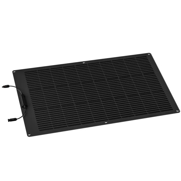 Фото - Портативная солнечная панель EcoFlow 100W Solar Panel (ZMS330)
