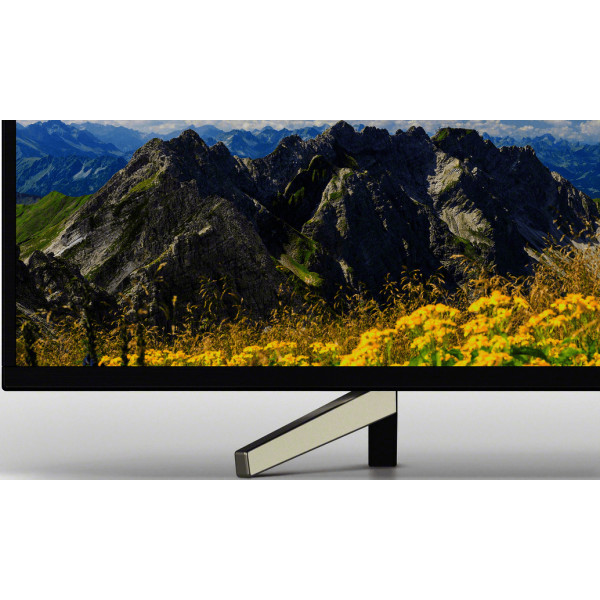 Фото - Телевизор Sony KD49XF7596BR
