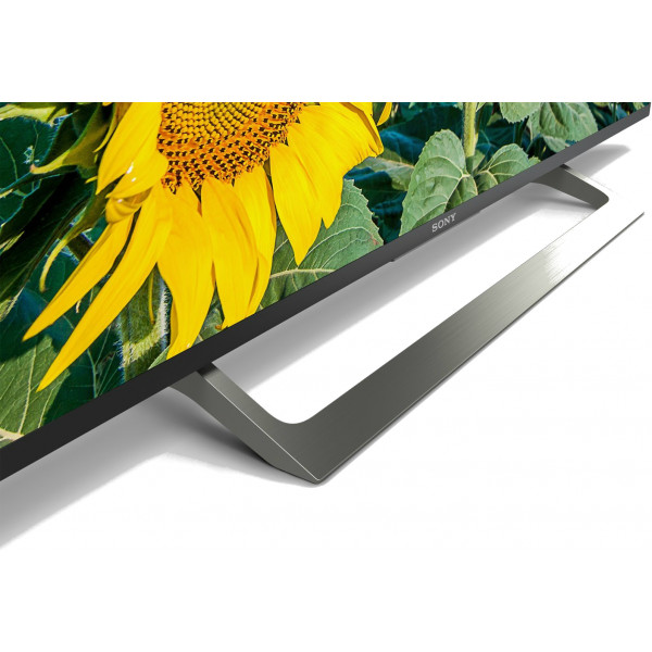 Фото - Телевизор Sony KD43XF8096BR2