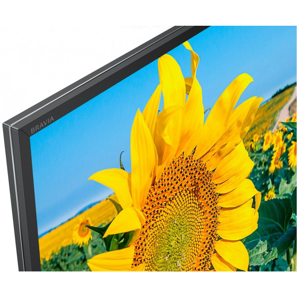 Фото - Телевизор Sony KD43XF8096BR2