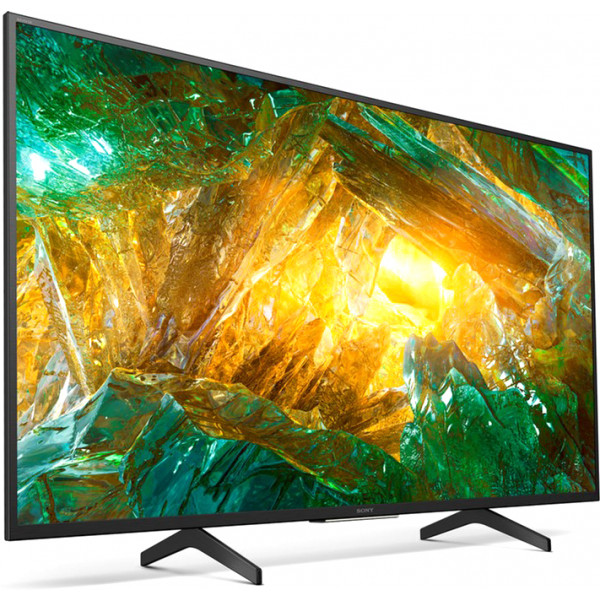 Фото - Телевизор Sony KD49XH8096BR