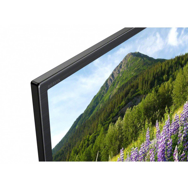 Фото - Телевизор Sony KD49XF7005BR