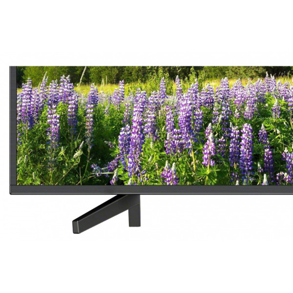 Фото - Телевизор Sony KD49XF7005BR