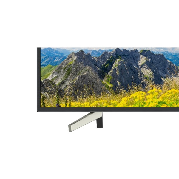 Фото - Телевизор Sony KD55XF7596BR