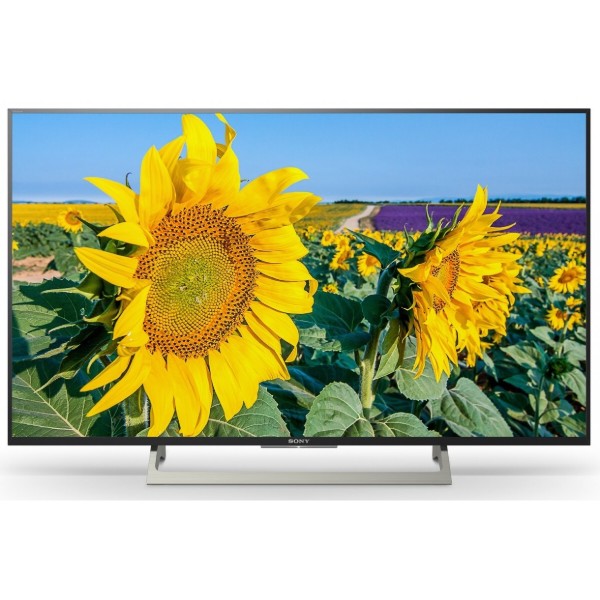 Фото - Телевізор Sony KD55XF8096BR2