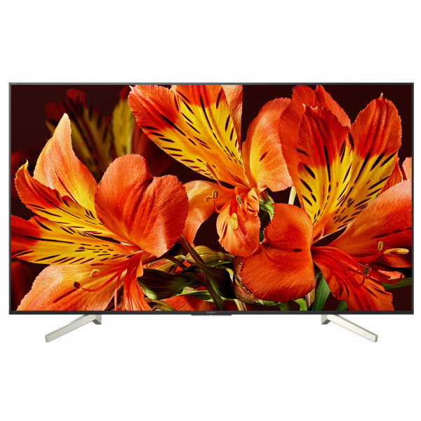 Фото - Телевизор Sony KD55XF8596BR2