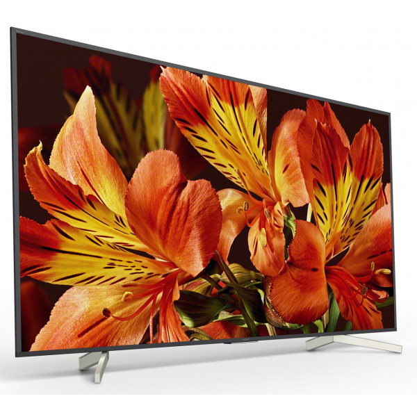Фото - Телевизор Sony KD55XF8596BR2