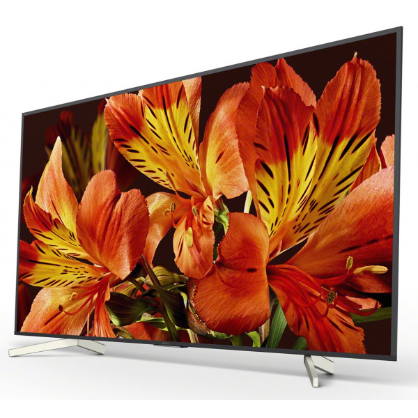 Фото - Телевизор Sony KD55XF8596BR2
