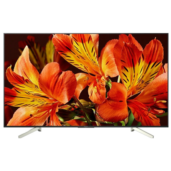 Фото - Телевизор Sony KD55XF8596BR