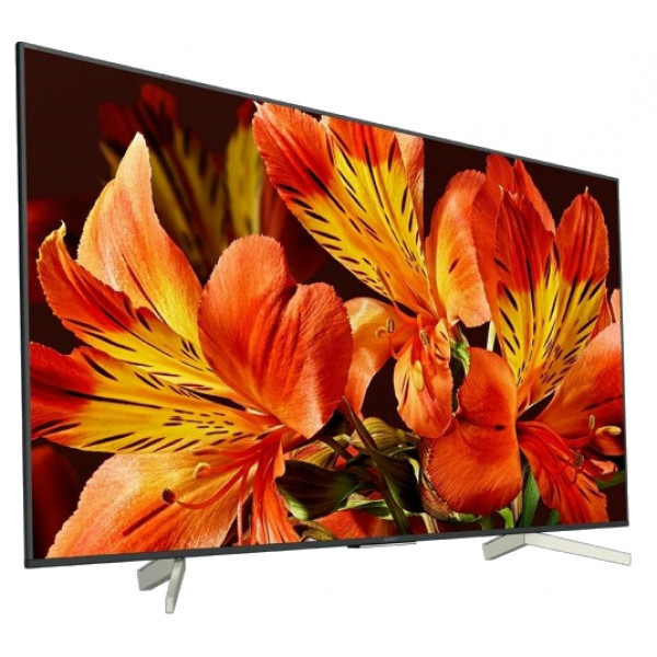Фото - Телевизор Sony KD55XF8596BR