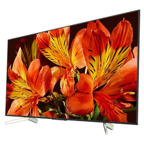 Фото - Телевизор Sony KD49XF8596BR