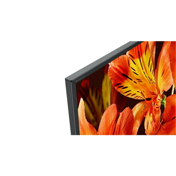Фото - Телевизор Sony KD49XF8596BR