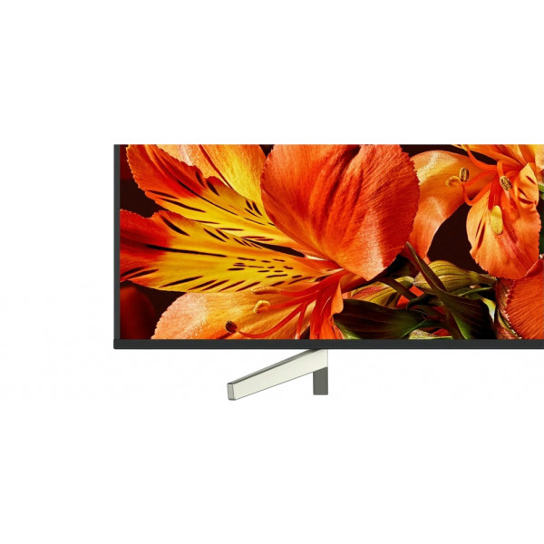 Фото - Телевизор Sony KD49XF8596BR