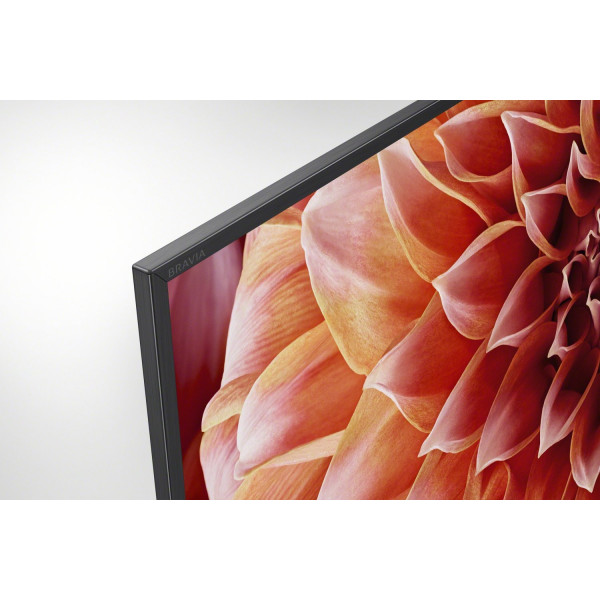 Фото - Телевизор Sony KD55XF9005BR2