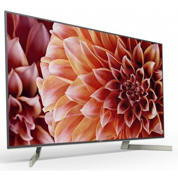 Фото - Телевизор Sony KD55XF9005BR2