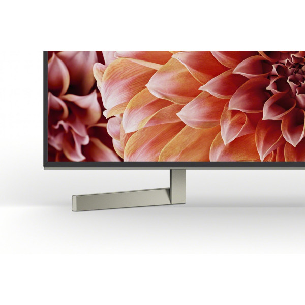 Фото - Телевизор Sony KD55XF9005BR2